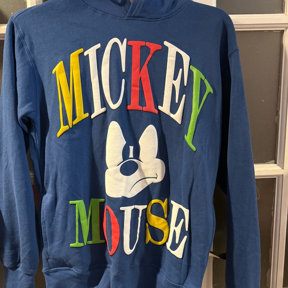 Disney Mickey and Friends Blue Sweatshirt